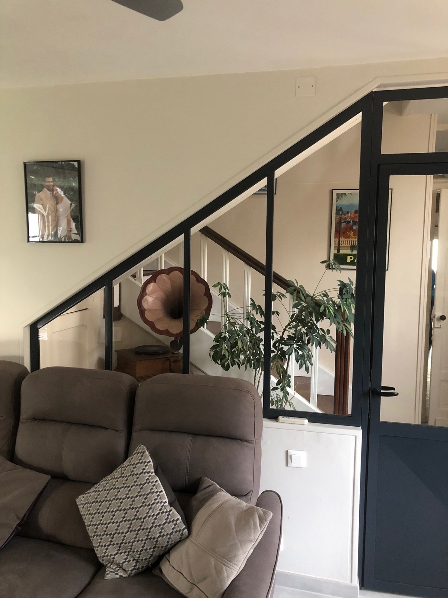 Verrière et porte séparées en acier